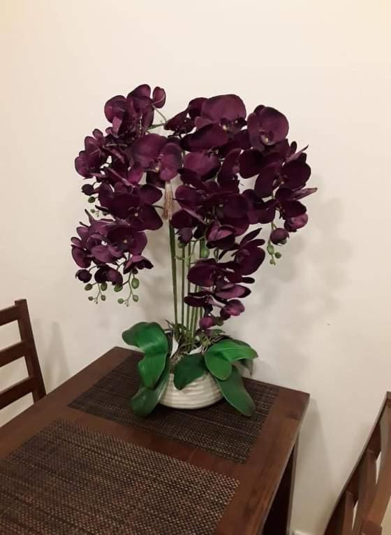 Barbora Apartament Druskininkai Dış mekan fotoğraf